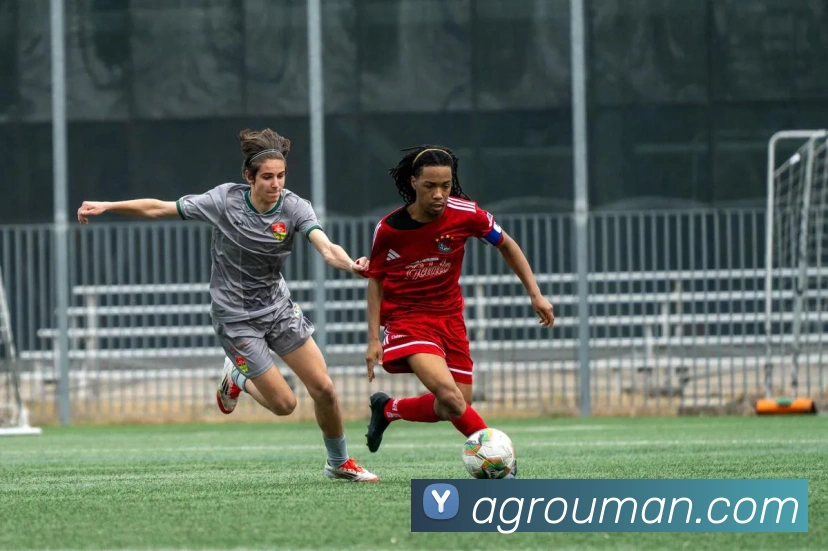 数据防护可视化